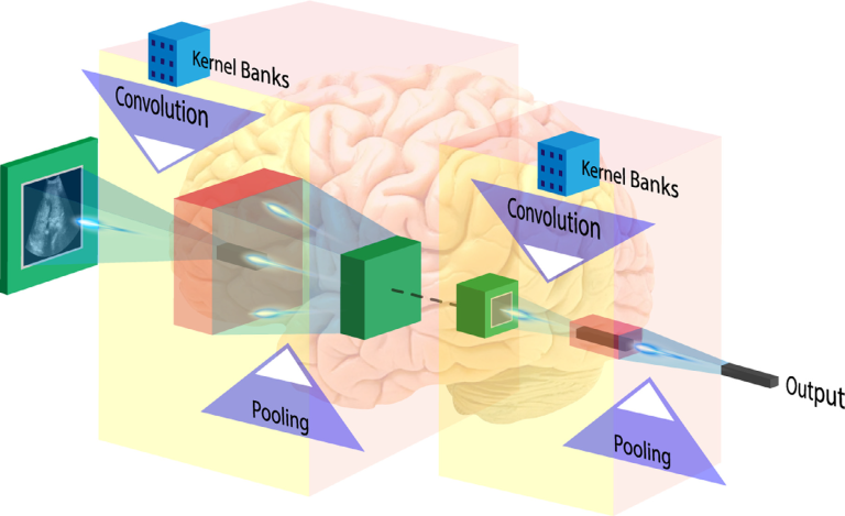 Symtosis：优化深度学习模型评估肝脏超声组织特征和风险分层